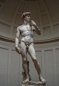 Michelangelo&#039;s_David_-_right_view_2